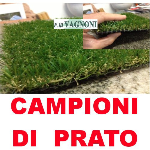 CAMPIONI DI PRATO ERBA SINTETICA