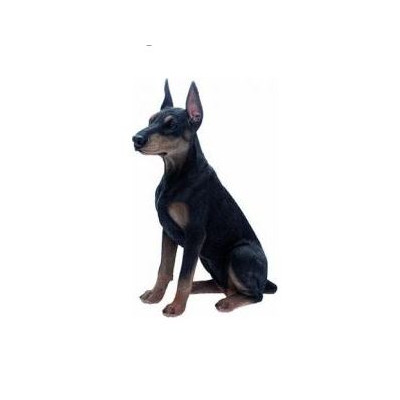 STATUA CANE DOBERMAN IN RESINA CM. 61