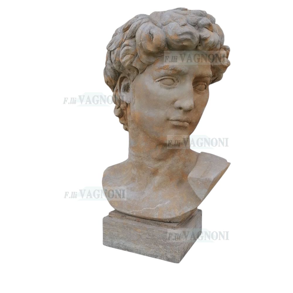 BUSTO IN PIETRA VECCHIA SCOLPITA DAVID DI MICHELANGELO