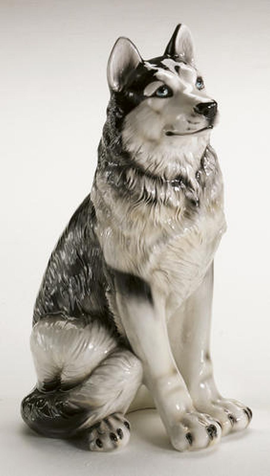 STATUA CANE SIBERIAN HUSKY IN CERAMICA CM. 60 -ANIMALI-